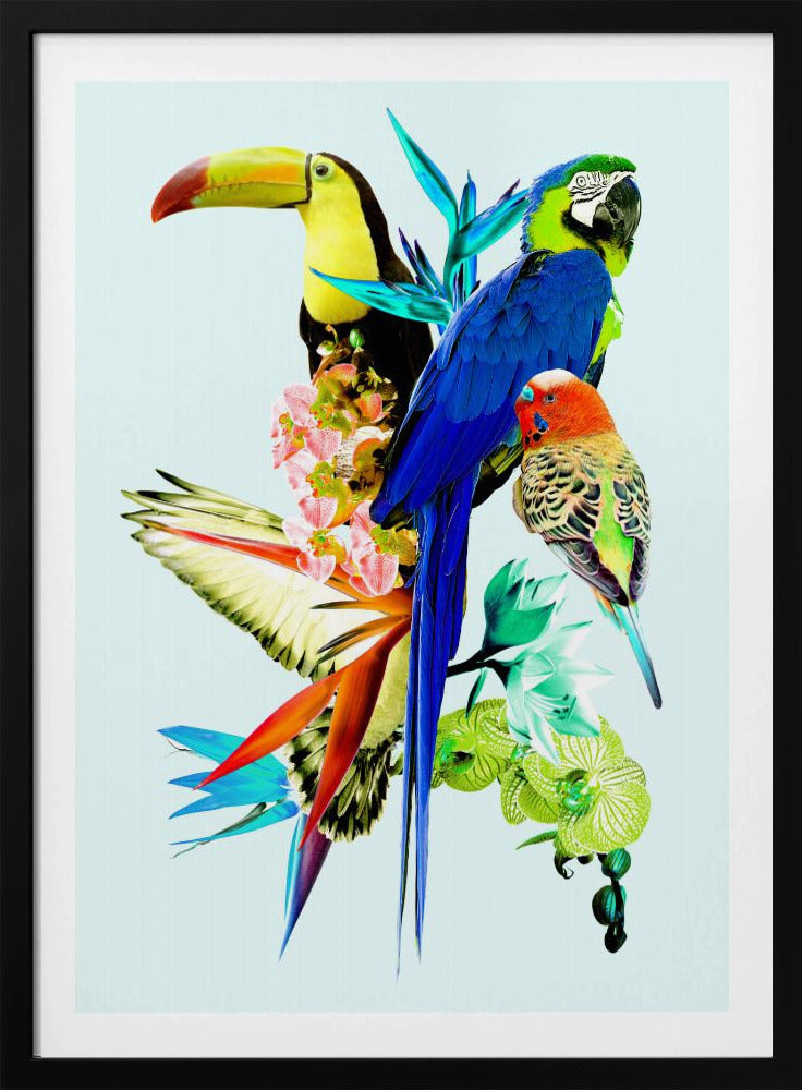 Paradijsvogels II | Poster