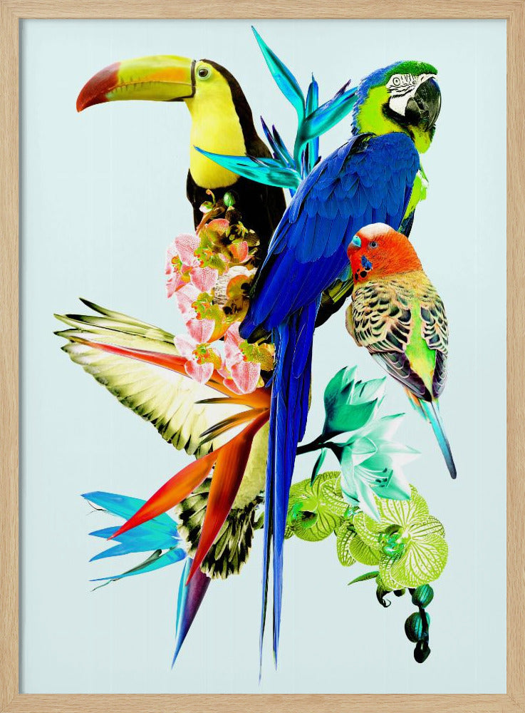 Paradijsvogels II | Poster