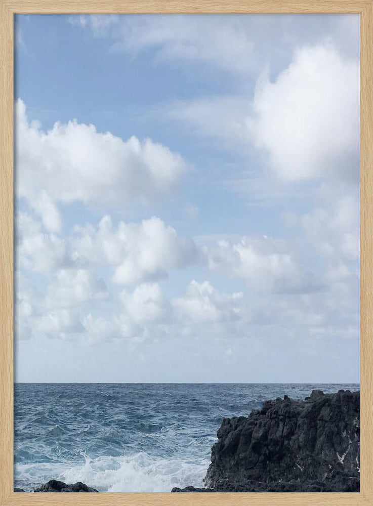 Kustleven II | Poster