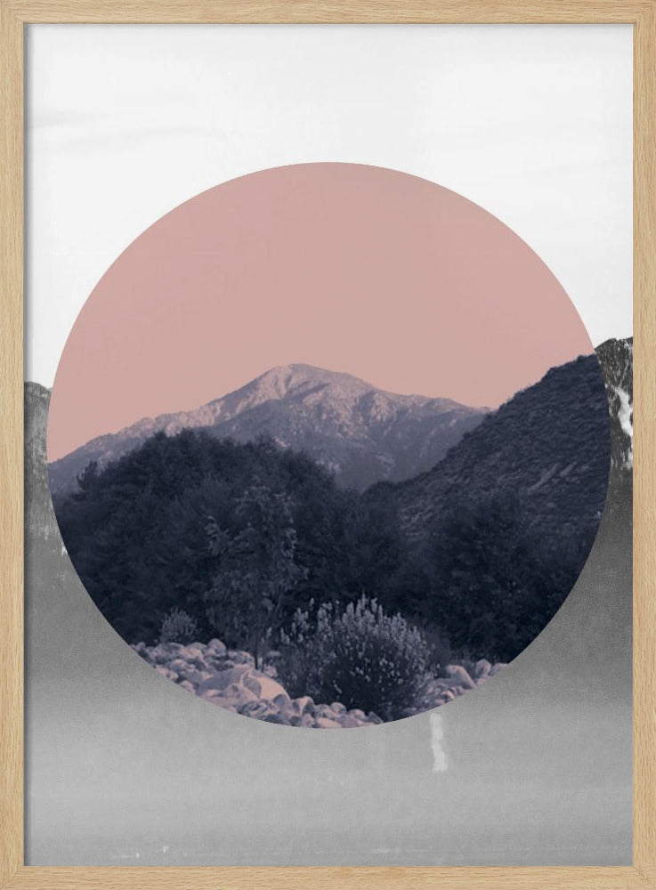 Vormen in de natuur II | Poster