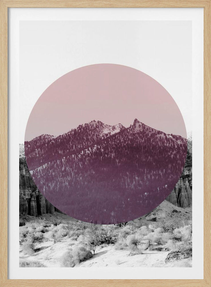 Vormen in de natuur I | Poster