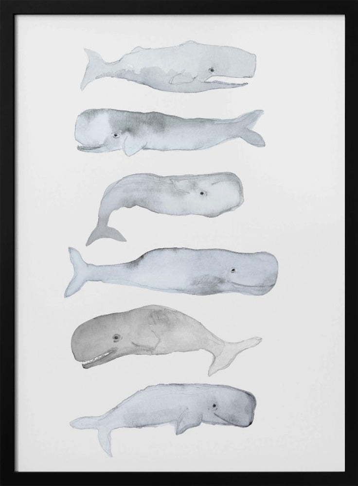 Walviskunst | Poster