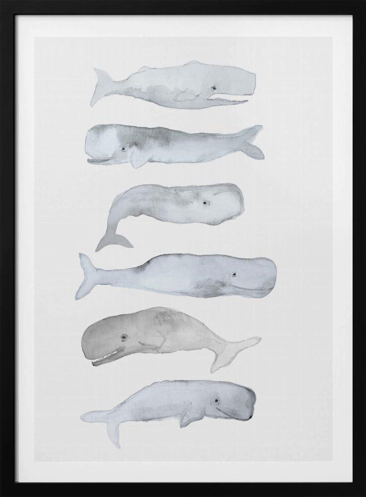 Walviskunst | Poster