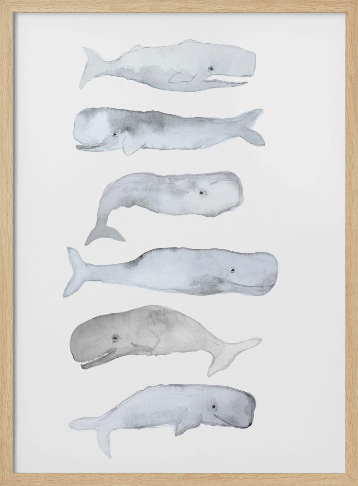 Walviskunst | Poster