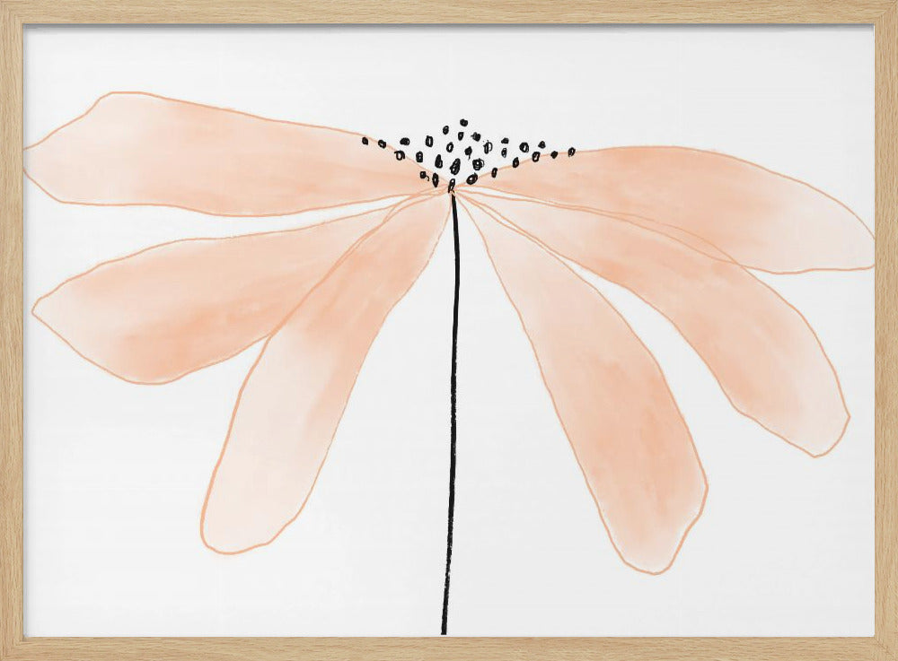 Delicate Peach Color Flower with Petals | Poster