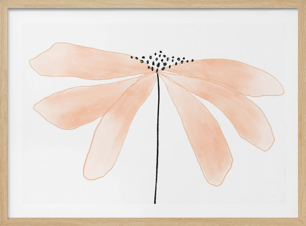 Delicate Peach Color Flower with Petals | Poster