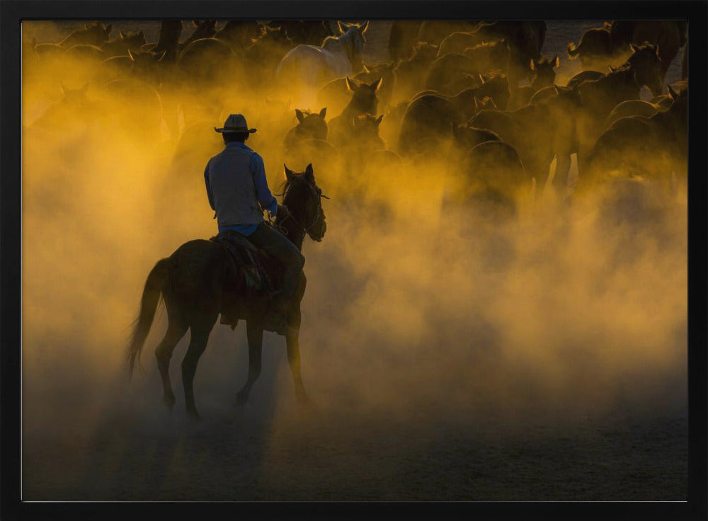 cowboy en paarden | Poster