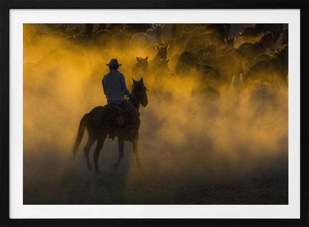 cowboy en paarden | Poster