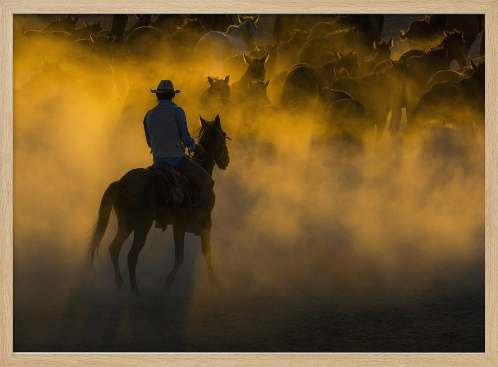 cowboy en paarden | Poster