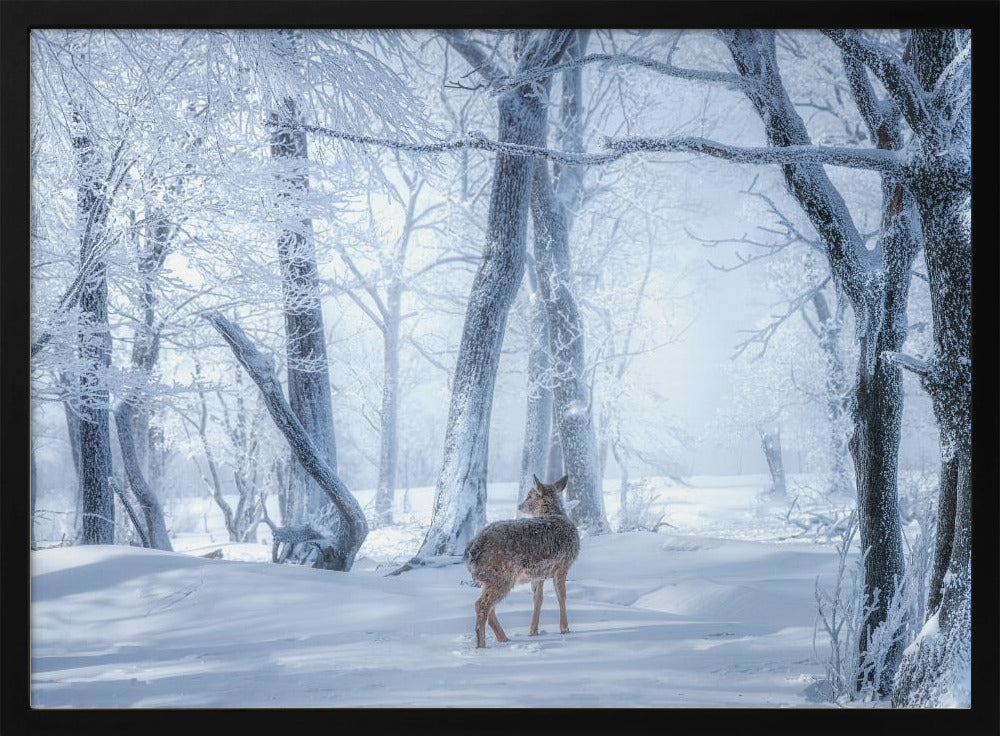 Het sikahert in het besneeuwde bos | Poster