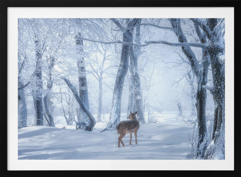 Het sikahert in het besneeuwde bos | Poster