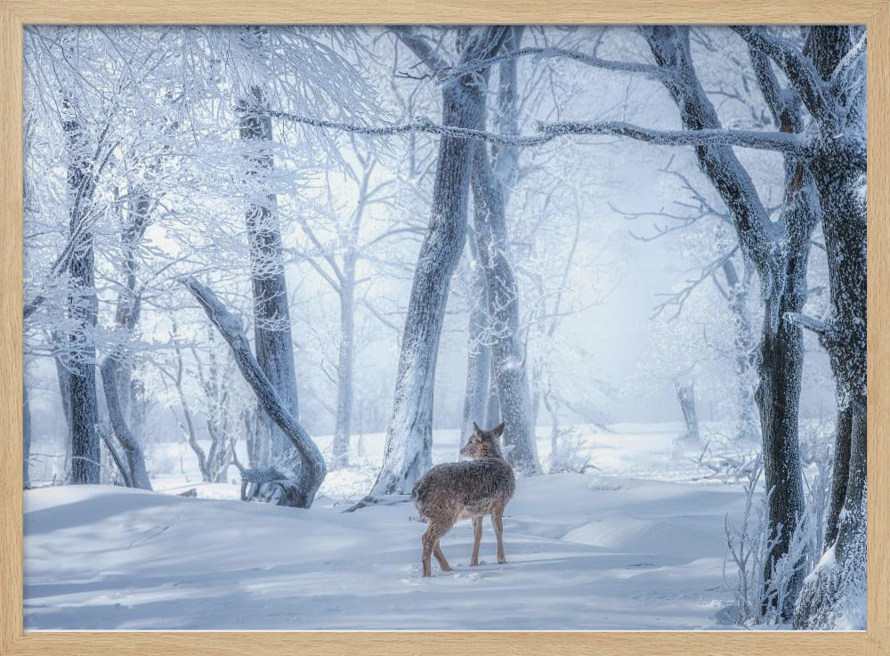 Het sikahert in het besneeuwde bos | Poster