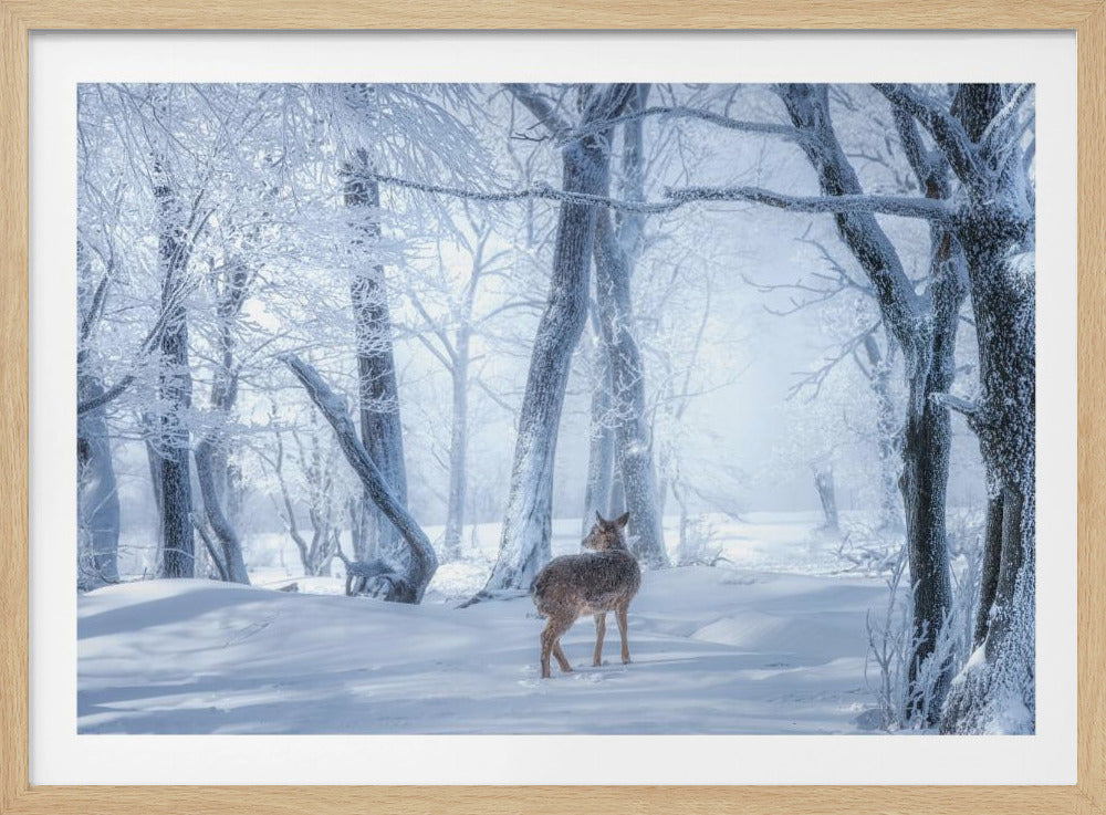 Het sikahert in het besneeuwde bos | Poster