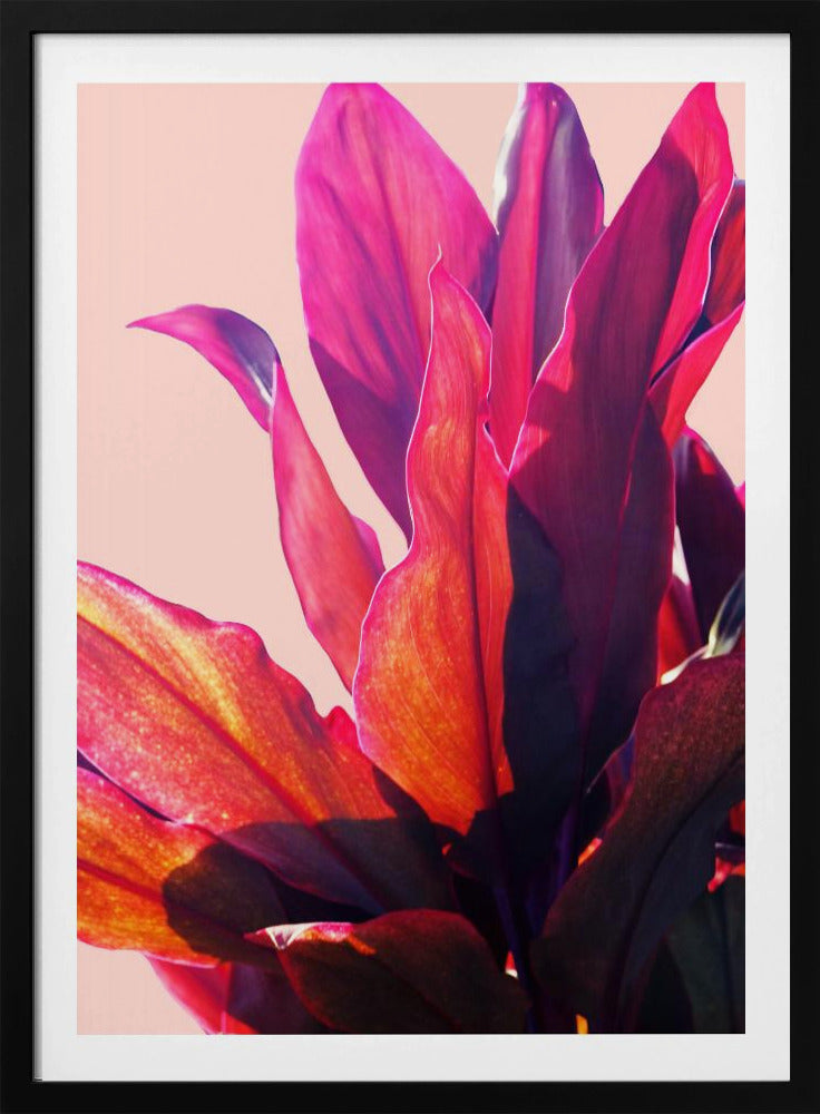 Fuchsia Bladeren II | Poster