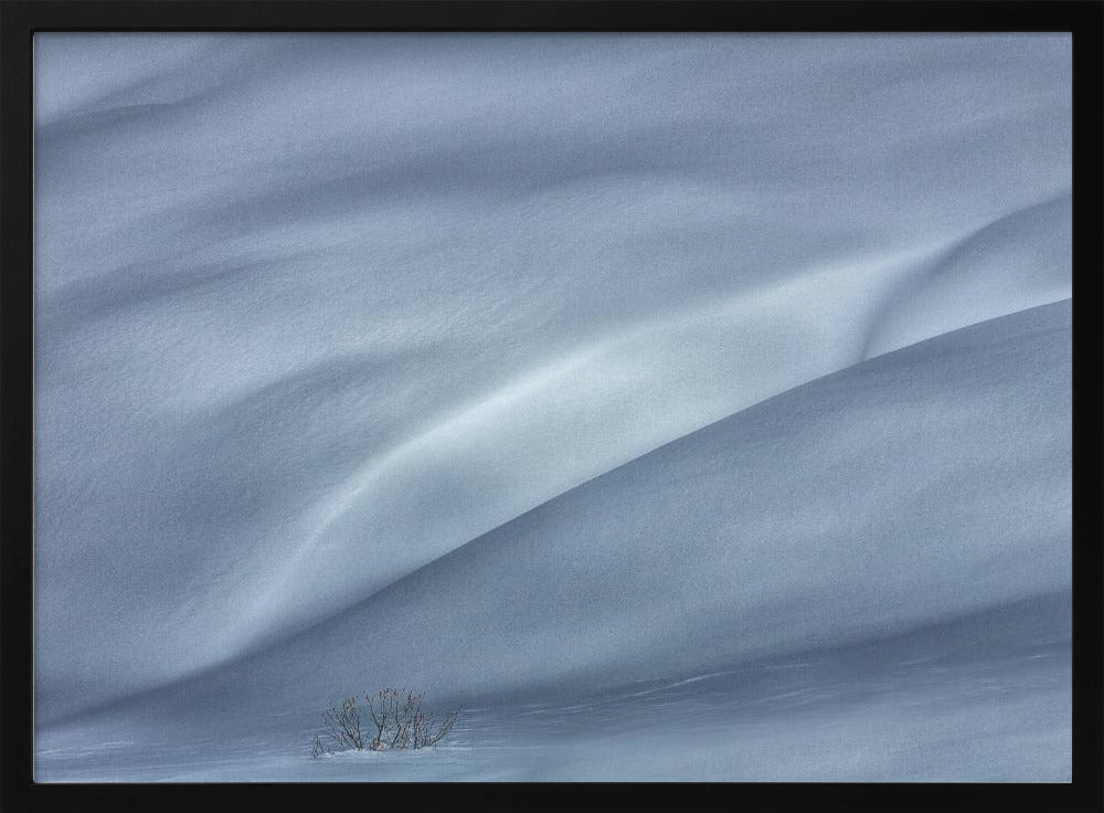pistes in de winter | Poster