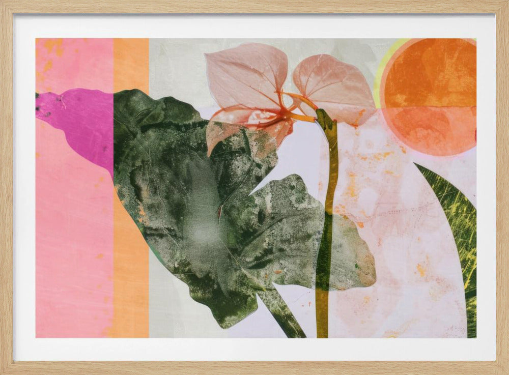 Tropische zonsopgang | Poster