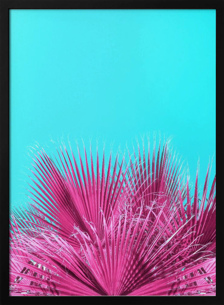 Elektrische roze palmbladeren | Poster