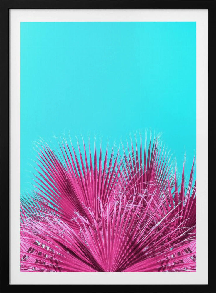 Elektrische roze palmbladeren | Poster