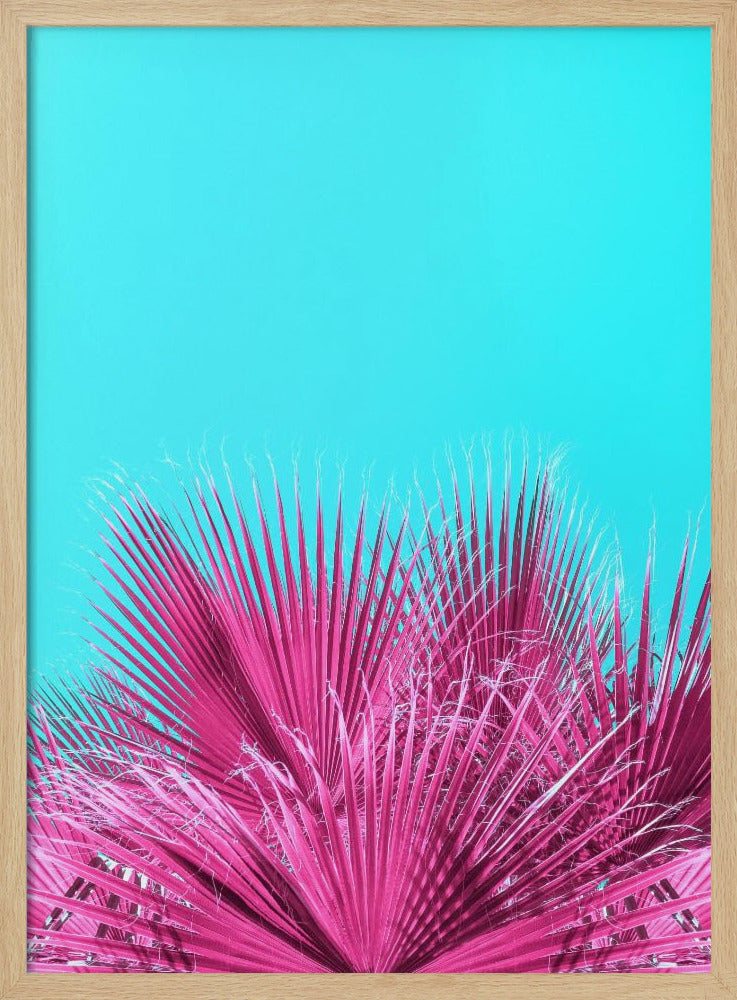 Elektrische roze palmbladeren | Poster