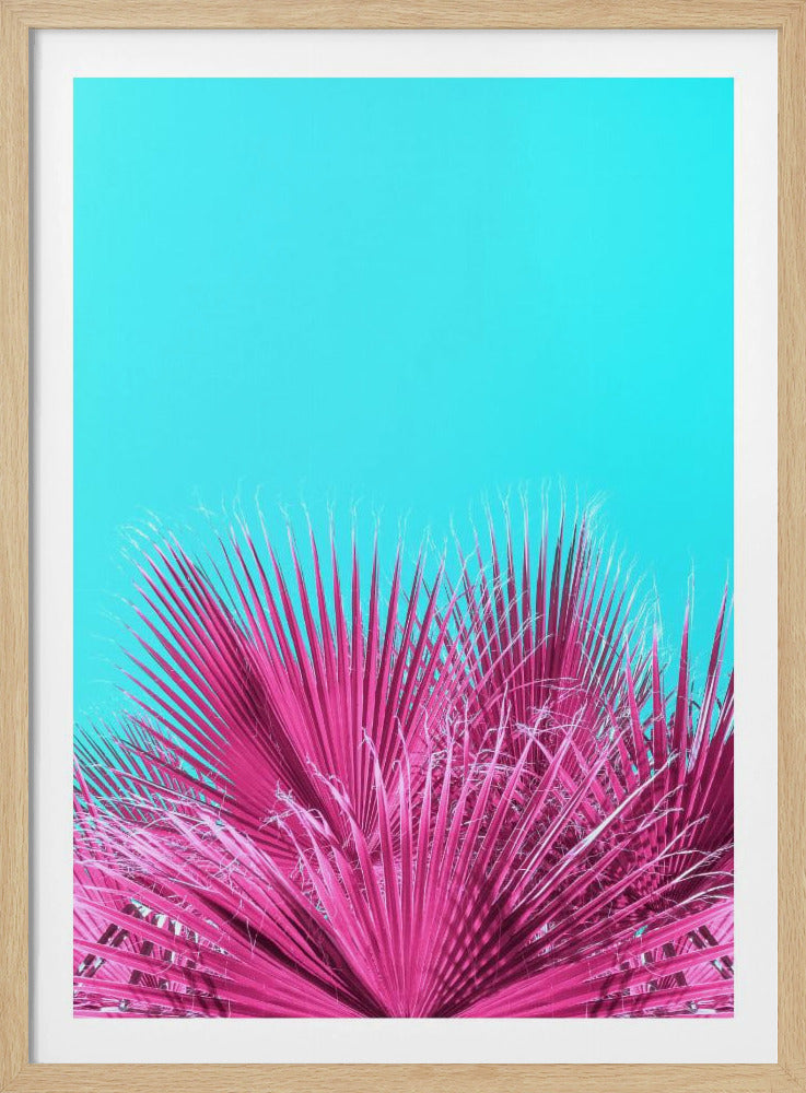 Elektrische roze palmbladeren | Poster