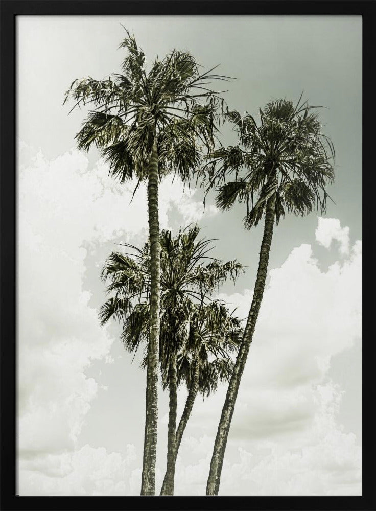 Palmbomen en lucht | Vintage | Poster