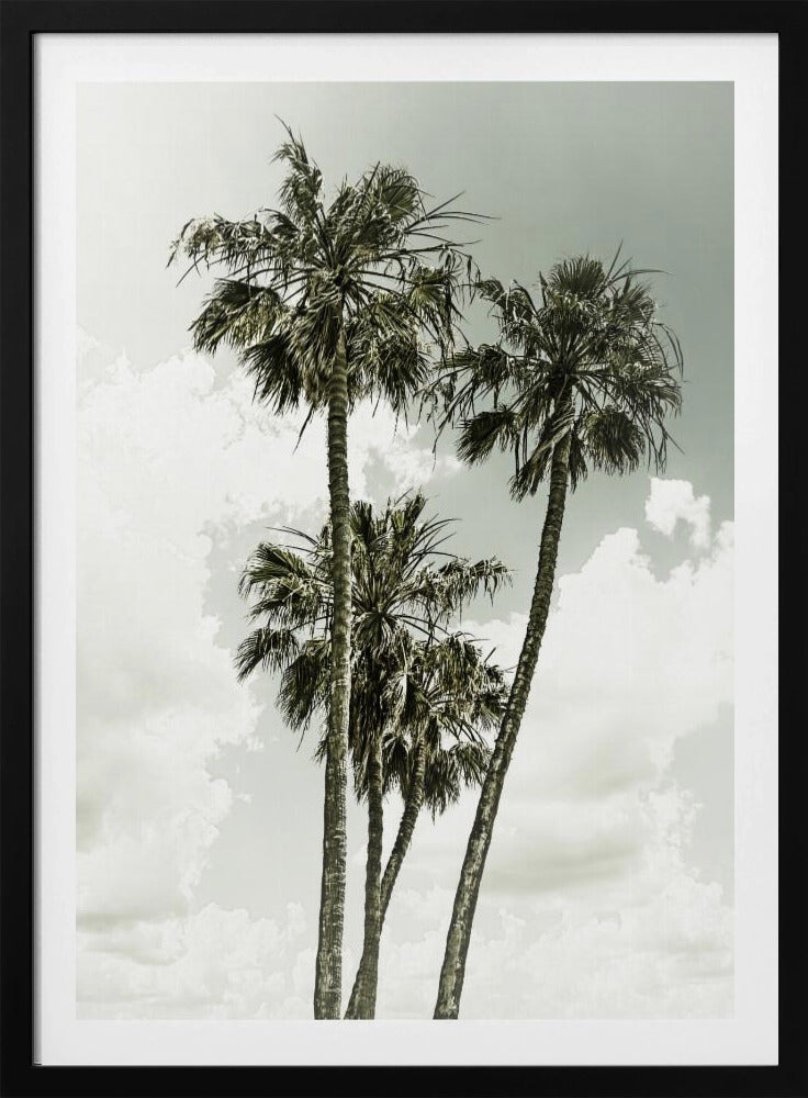 Palmbomen en lucht | Vintage | Poster