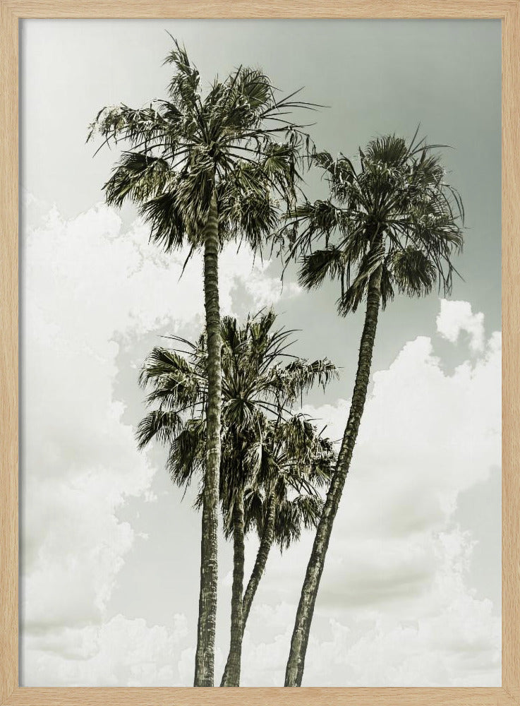 Palmbomen en lucht | Vintage | Poster