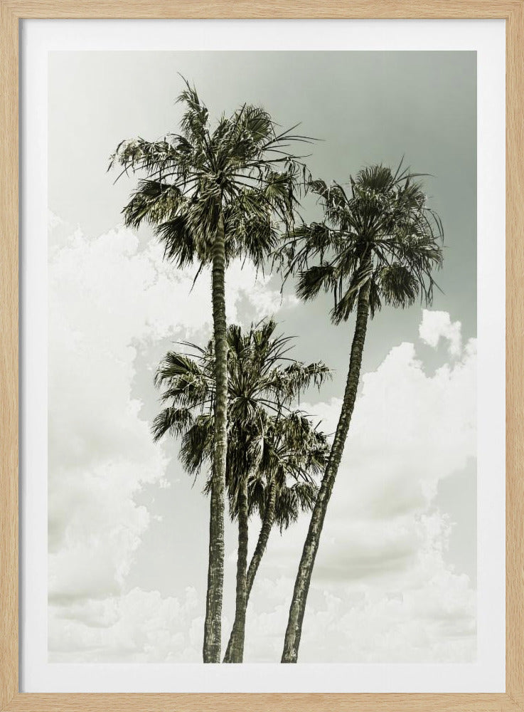 Palmbomen en lucht | Vintage | Poster