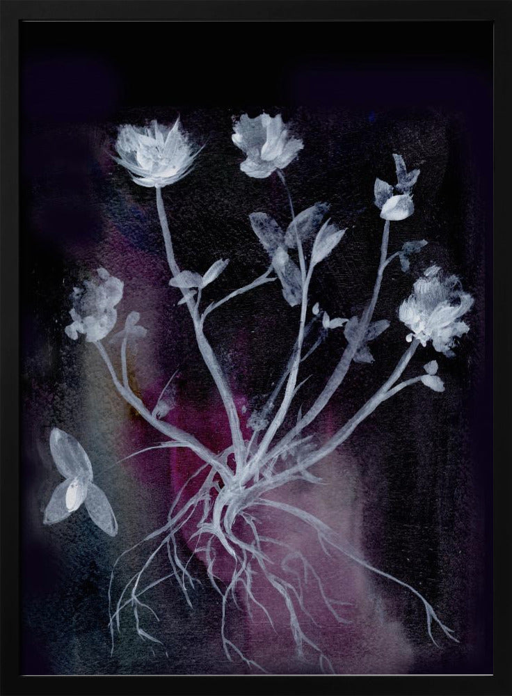 Geheime Tuin II | Poster