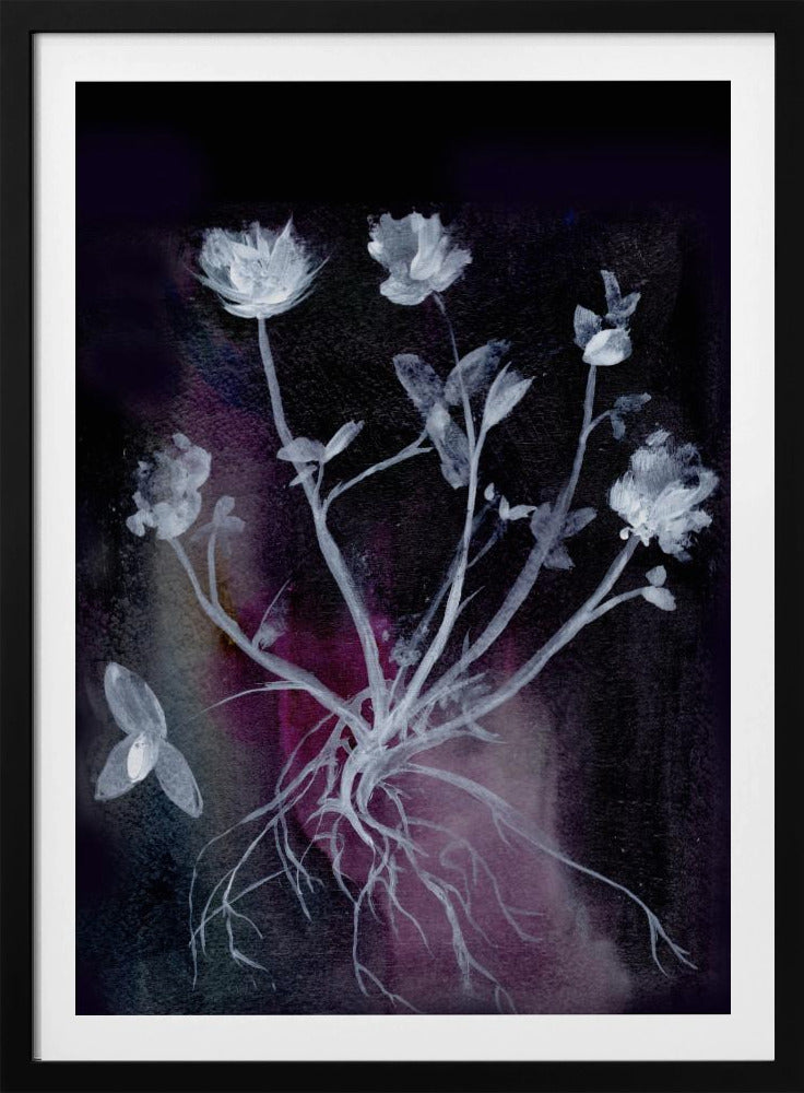 Geheime Tuin II | Poster