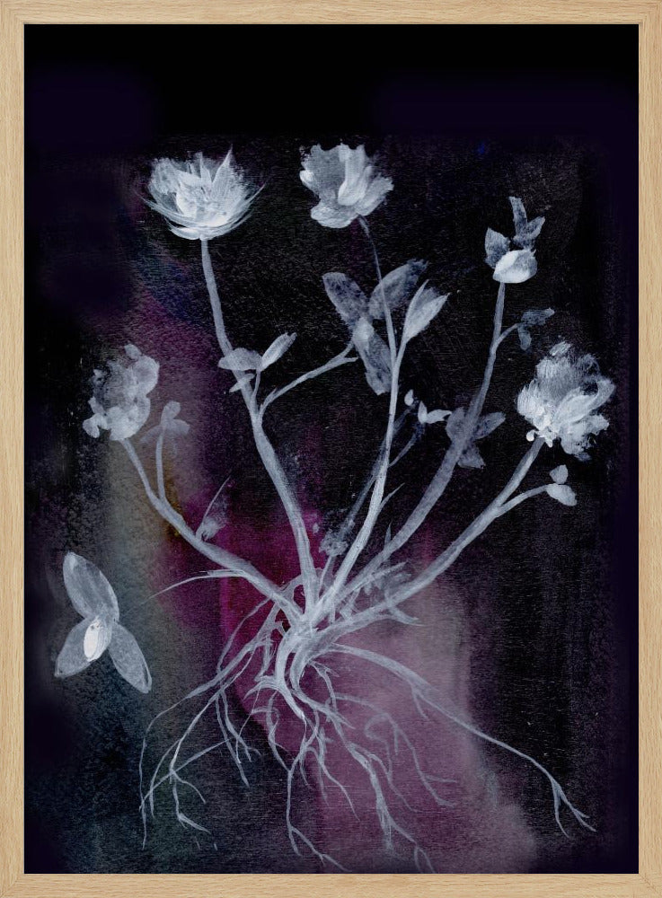 Geheime Tuin II | Poster