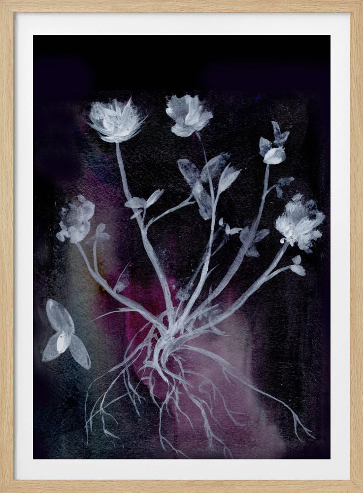 Geheime Tuin II | Poster