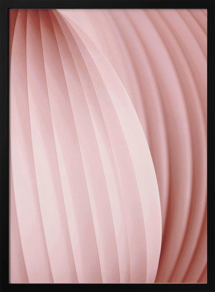 Peach Pink | Poster