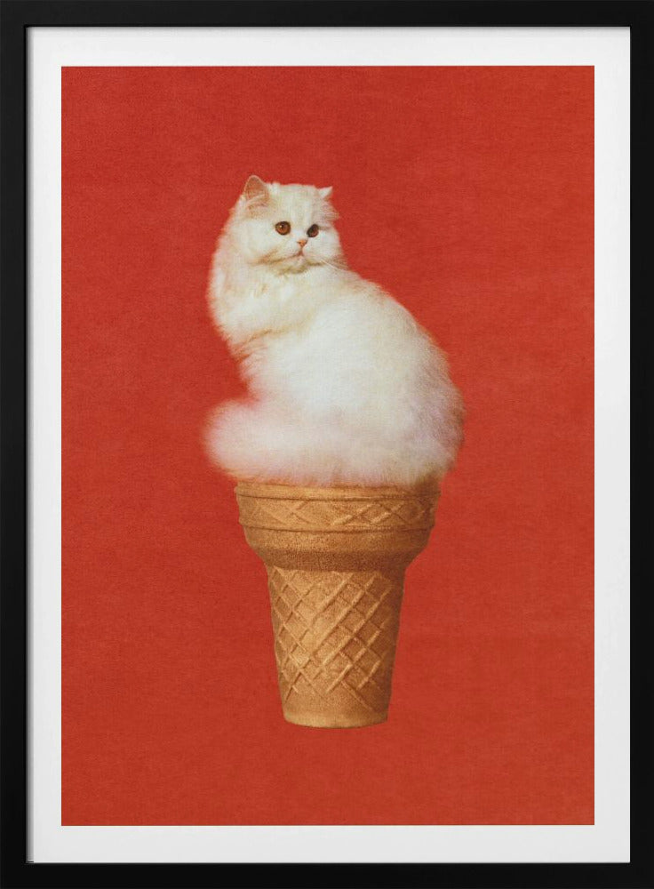 Kattenijs Rood | Poster