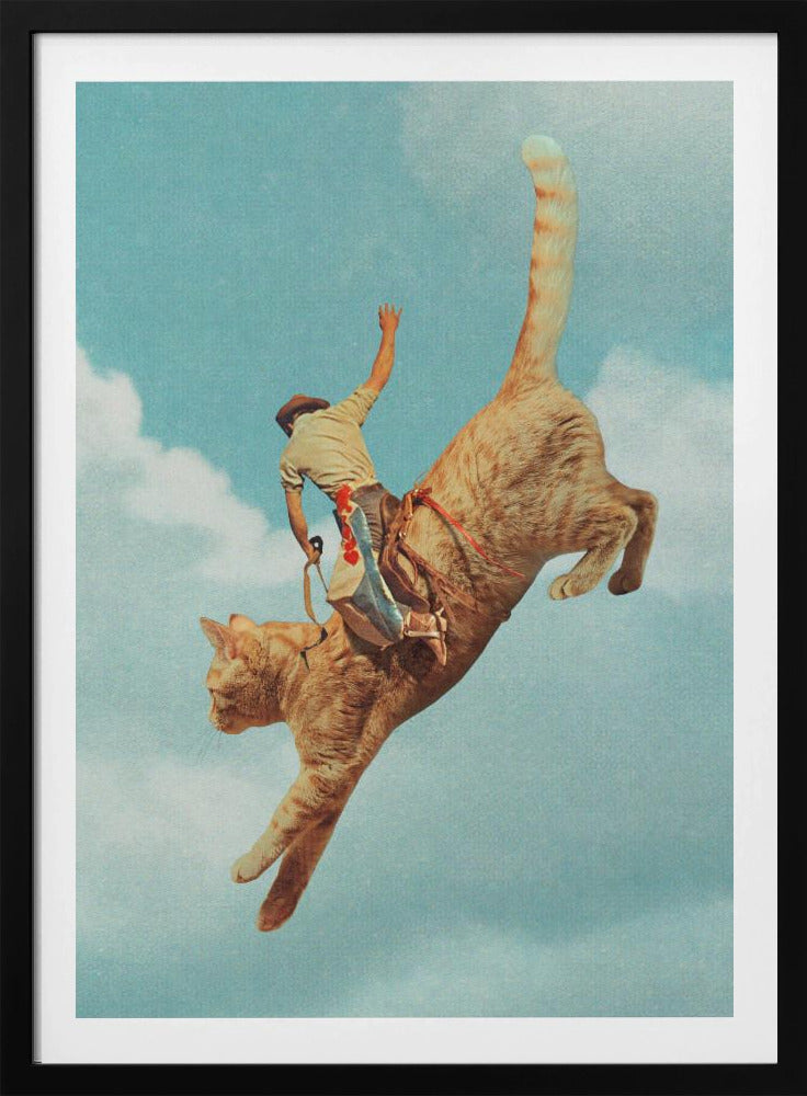 Meehaw Rodio Kat | Poster