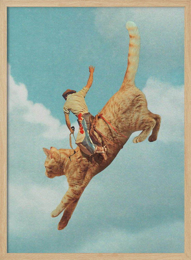 Meehaw Rodio Kat | Poster