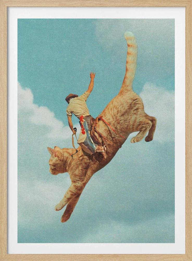 Meehaw Rodio Kat | Poster