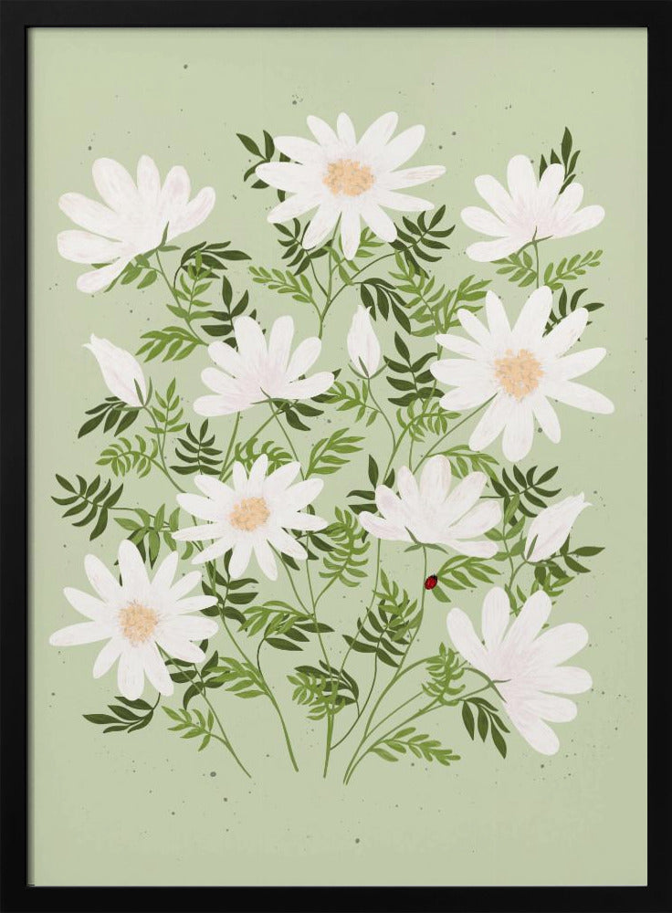 Lieveheersbeestjesbloemen | Poster