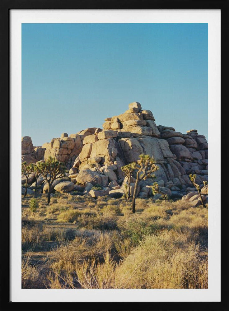 Zonsondergang in Joshua Tree | Poster