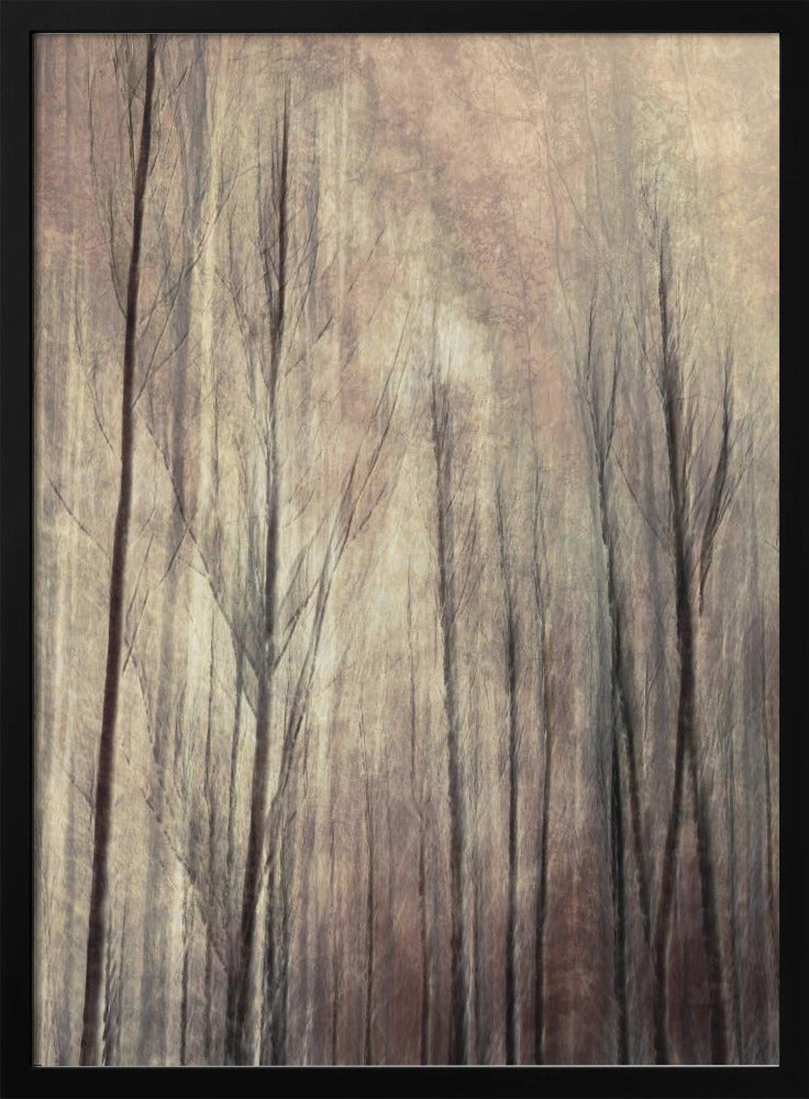 Herfstbos | Poster