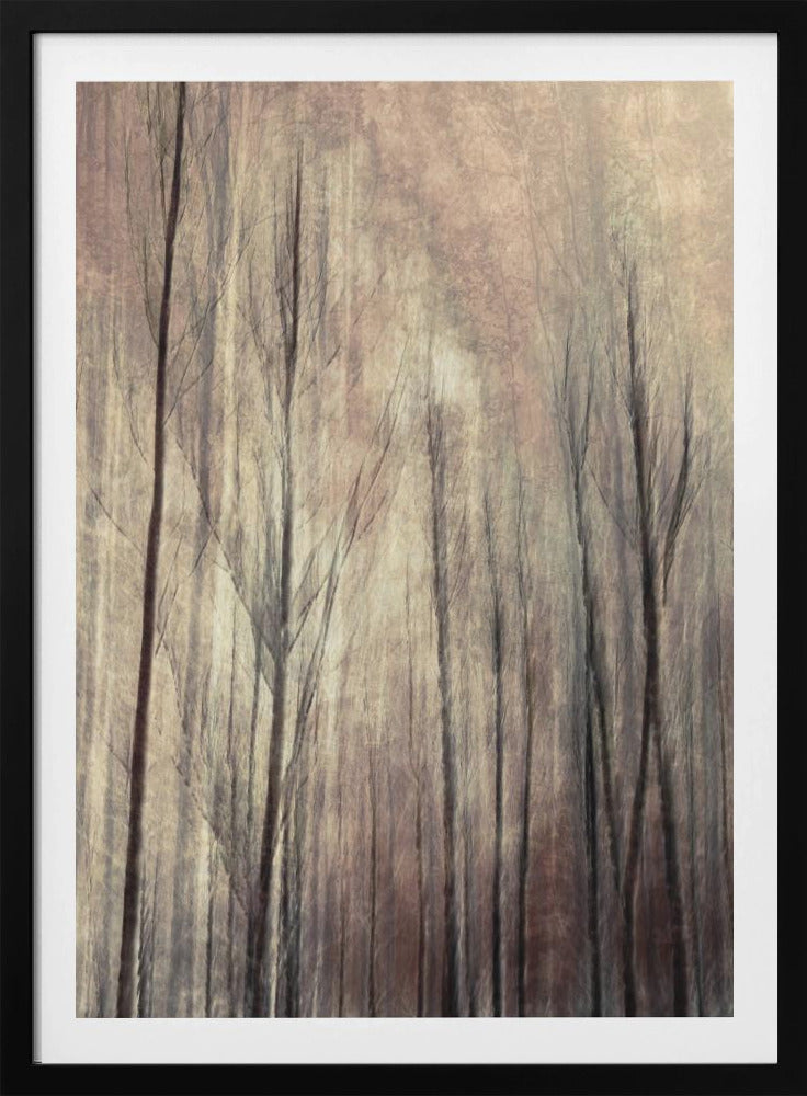 Herfstbos | Poster