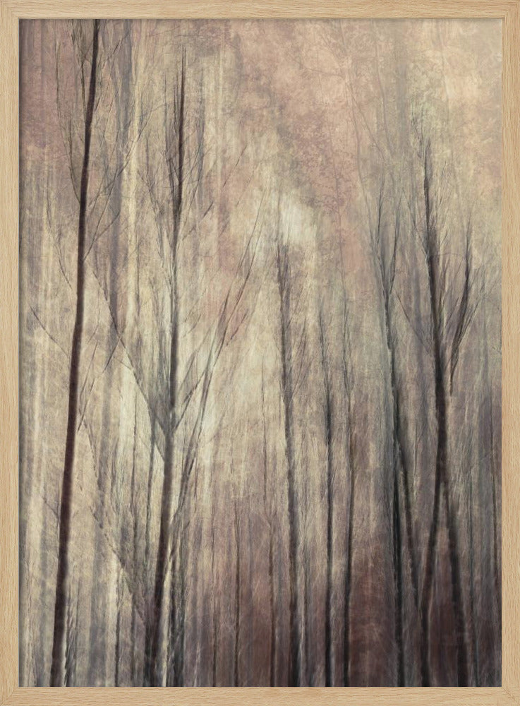 Herfstbos | Poster