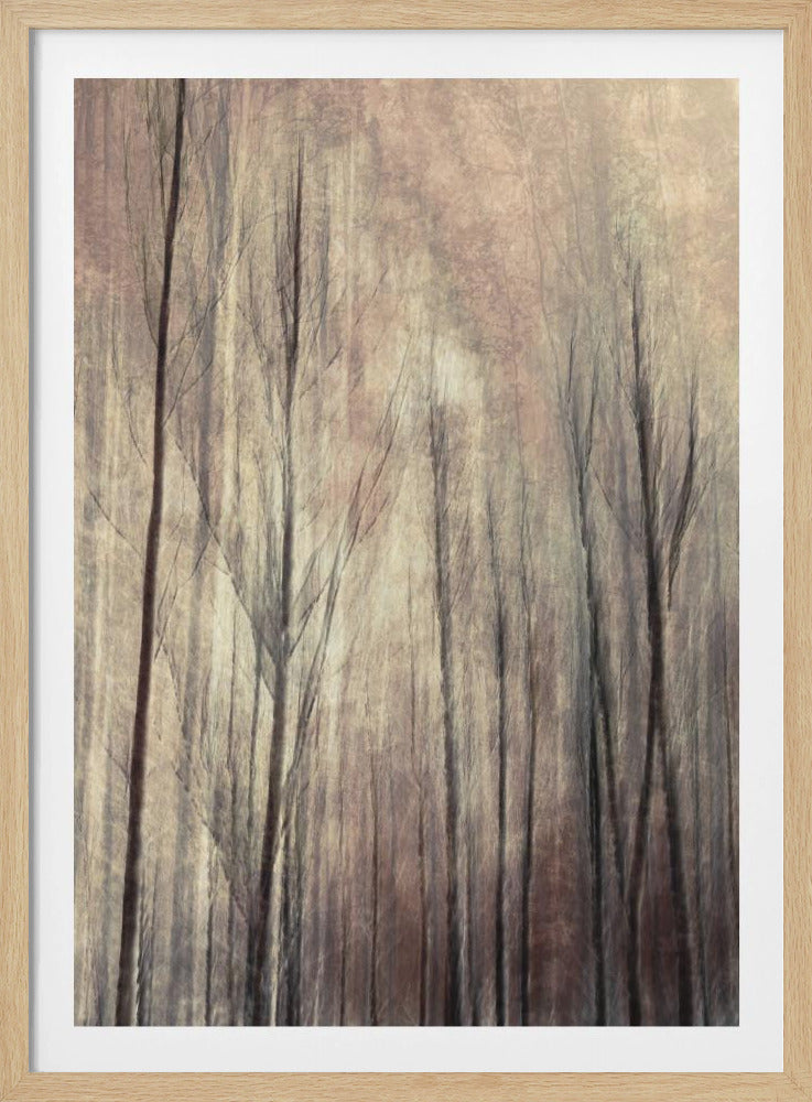 Herfstbos | Poster