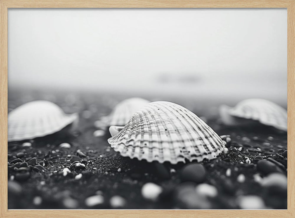 Zeeschelpensereniteit | Poster