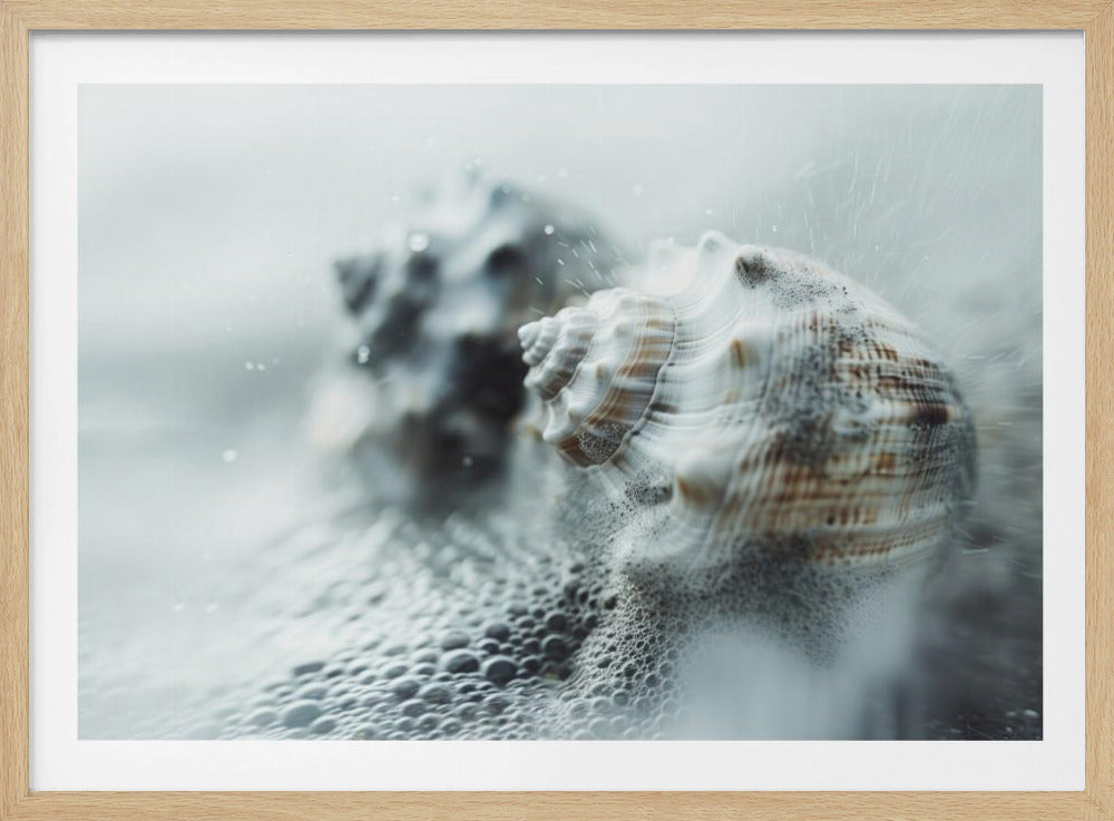 Schelpen in oceaanmist | Poster