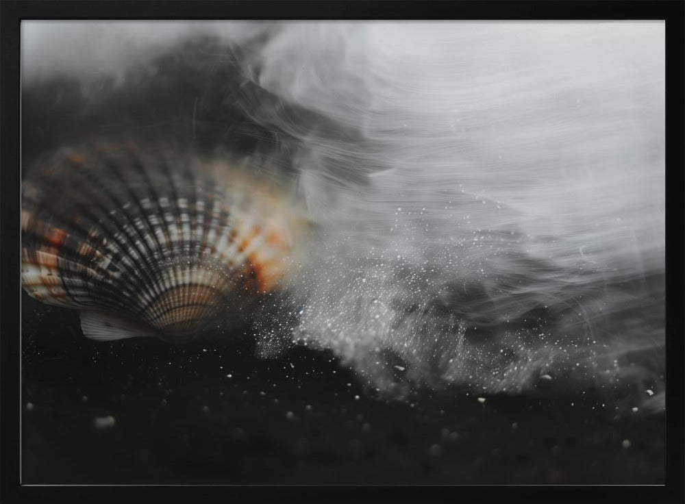 Fluisterende Schelp | Poster