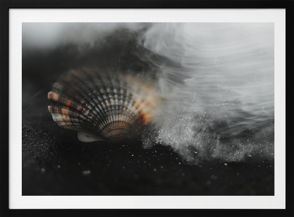 Fluisterende Schelp | Poster