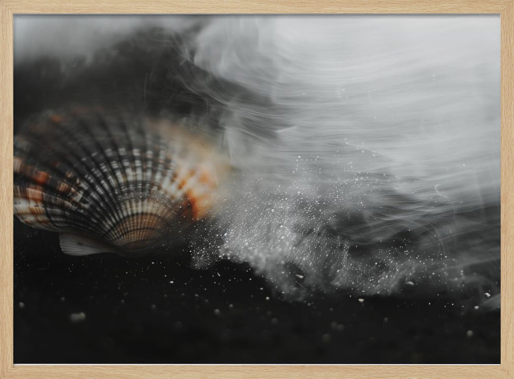 Fluisterende Schelp | Poster