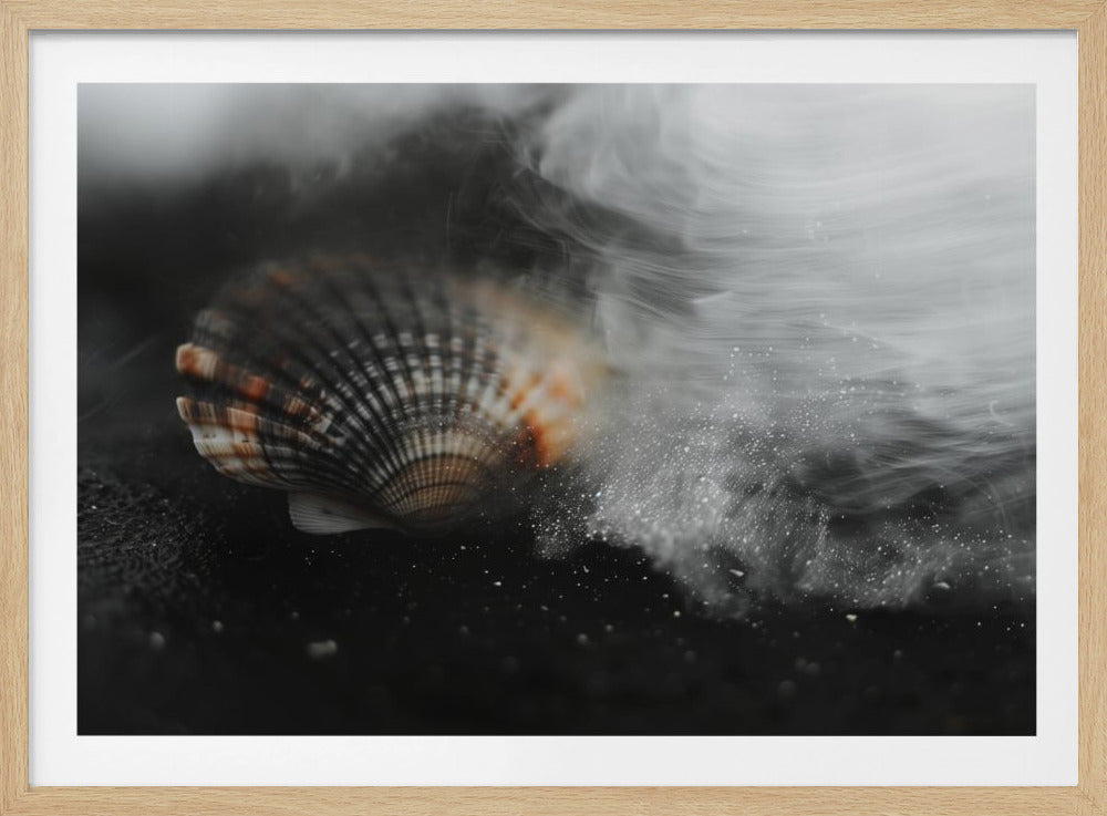 Fluisterende Schelp | Poster