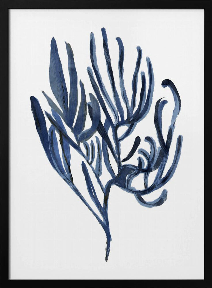 Blauwe waterplant poster 3 | Poster